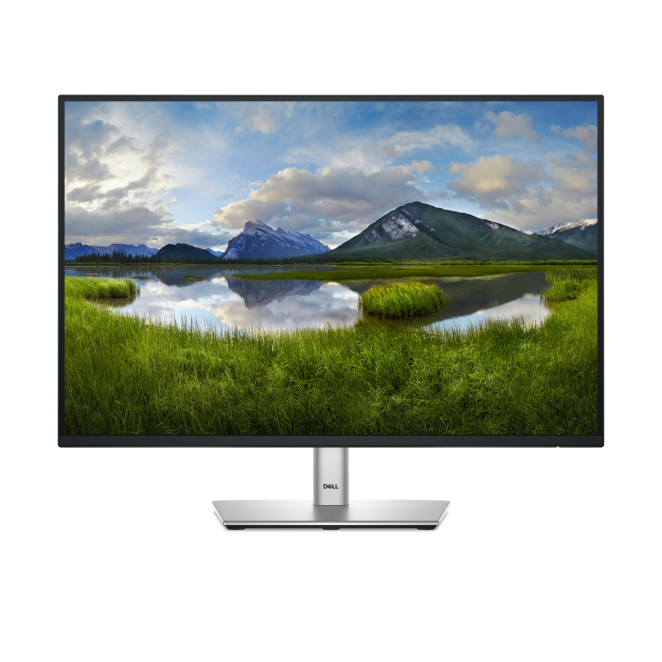 DELL P Series P2425 - Monitor de 24.1 pulgadas con resolución WUXGA Monitor DELL P Series P2425 de 24.1 pulgadas, resolución 1920 x 1200 Pixeles WUXGA, en color negro - DELL-P2425