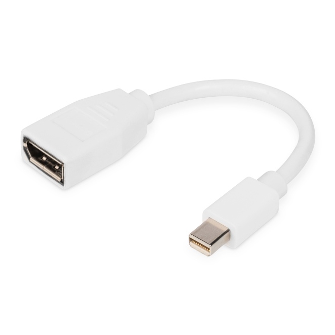 Digitus Cable Adaptador DisplayPort mini DP a DP alta calidad Imagen del cable adaptador DisplayPort de Digitus con conexión mini DP a DP, SKU DB-340405-001-W, ideal para transferencia de video y audio en alta definición