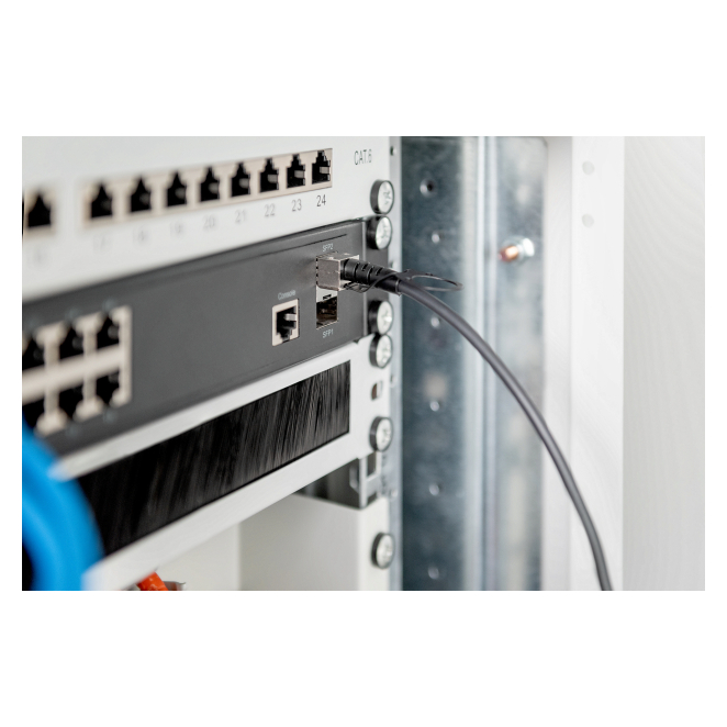 Digitus Cable SFP+ 10G DAC 3m 2 Digitus Cable SFP+ 10G DAC 3m