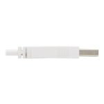 Tripp Lite U050AB-006-WH cable antibacteriano USB A a USB Micro B, USB 2.0, blanco, 1.83 metros, SKU U050AB-006-WH