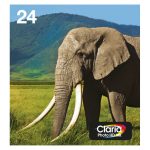 Multipack de 6 colores Epson modelo 24 EasyMail con SKU C13T24284510, ofrece impresiones de calidad en alta definición.