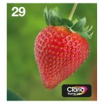 Epson Strawberry Multipack 4-colores 29 EasyMail cartuchos de tinta. SKU: C13T29864511. Incluye colores negro, cian, magenta y amarillo.