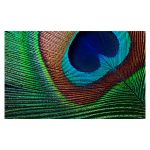 Proyector Epson EH-TW7000 con resolución 4K UHD y SKU V11H961040