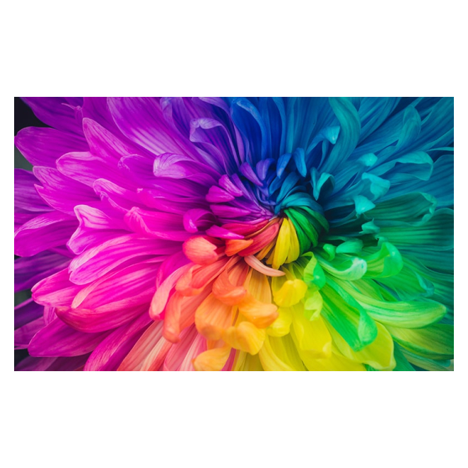 Epson EF-12 4 Epson EF-12 experiencia de usuario