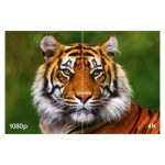 Proyector Epson EH-LS12000B con resolución 4K UHD y tecnología láser, SKU V11HA47040.