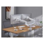 Equip Soporte de escritorio para monitor doble de 17 a 35 pulgadas, color blanco, SKU 650183