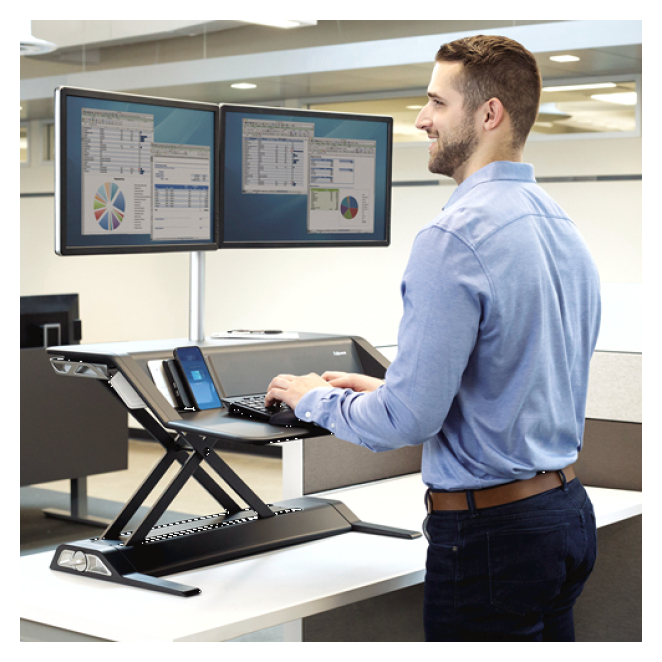 Fellowes Lotus DX 2 Fellowes Lotus DX con pantallas