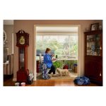 Ordenador de sobremesa HP Elite t655, mini PC con procesador de 2,1 GHz, sistema operativo Windows 11 IoT Enterprise, peso de 1,12 kg en color negro. SKU: 5H127EA#ABE