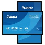 Pantalla de señalización interactiva iiyama T4329AS-B1AG de 42.5 pulgadas, LED, con Wifi y resolución 4K Ultra HD, color negro, con procesador Android y brillo de 500 cd/m².