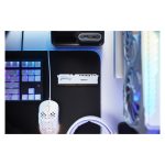 Módulo de memoria RAM Kingston Technology FURY Beast de 32GB DDR5, velocidad de 6000MT/s, latencia CL30, color blanco, SKU KF560C30BWE-32