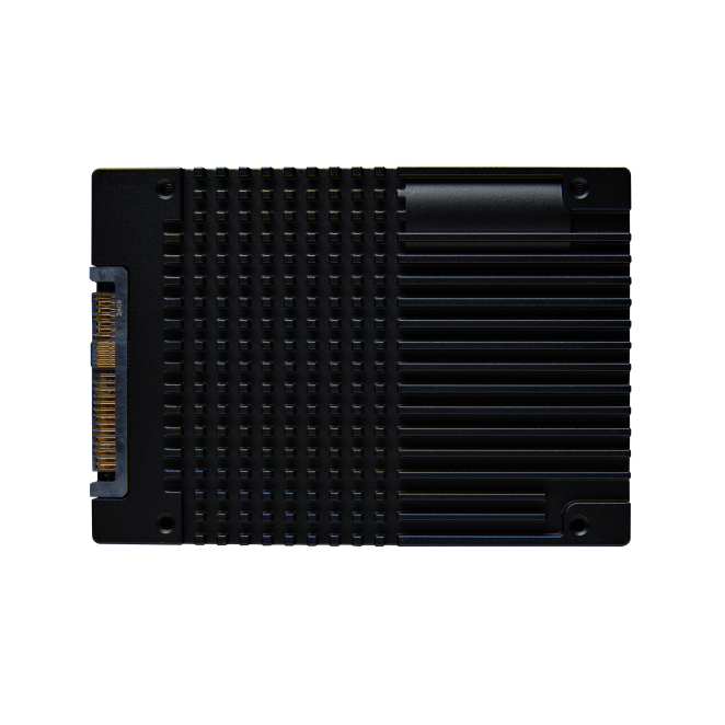 Kingston Technology 7,68TB DC3000ME U.2 PCIe 5.0 NVMe TCG Opal SSD para empresas 2 SSD empresarial de Kingston Technology en servidor