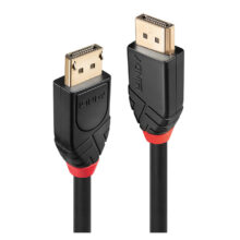 Imagen del Lindy cable DisplayPort de 15 metros en color negro, ideal para conexiones de video y audio de alta resolución. SKU 41079.