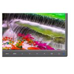 Monitor NEC MultiSync EA271F de 27 pulgadas con resolución Full HD 1920 x 1080 Pixeles, modelo 60004304, en color negro. Perfecto para una experiencia visual excepcional.