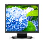 Monitor NEC E172M de 43,2 cm con resolución 1280 x 1024 Pixeles, HD LED, color Negro, modelo 60005020
