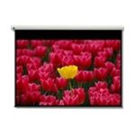 Imagen de la pantalla de proyección Optoma con relación de aspecto 16:9, dimensiones de 2656 x 1494mm y tamaño de 3,05 metros (120 pulgadas). SKU: DE-9120EGA