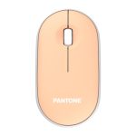 Ratón inalámbrico Pantone PT-MS001E para hogar, RF Laser, 100 DPI, SKU PT-MS001E