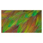 Philips 3000 series pantalla para PC de 27 pulgadas con resolución 3840 x 2160 4K Ultra HD en color negro, SKU 27B1U3900/00