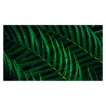 Philips 5000 series 27B2G5500/00 pantalla para PC de 27 pulgadas con resolución 2560 x 1440 pixeles Quad HD LCD en color antracita, SKU 27B2G5500/00