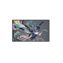 Philips 32BDL3511Q/00 pantalla de señalización digital con 81,3 cm (32 pulgadas), 350 cd/m² de brillo, resolución Full HD, color negro ideal para uso 18/7