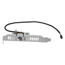 Tarjeta de interfaz interno con adaptador estéreo de PNY, modelo QSP-STEREOQ4000-PB, diseñada para sistemas de cableado avanzado.