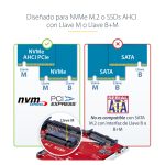 Adaptador M.2 a U.3 de StarTech para SSDs M.2 NVMe, conversor compacto y rápido, SKU 1M25-U3-M2-ADAPTER