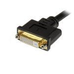 Cable divisor StarTech.com de 20 cm, con conector DVI-I macho a DVI-D y VGA hembra, modelo DVI92030202L