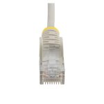Cable Cat6 de StarTech.com, de 50cm, delgado, con conectores RJ45 sin enganches, color gris, SKU N6PAT50CMGRS