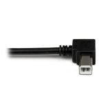 Imagen del adaptador USB StarTech.com para impresora de 1 metro, con un conector macho USB A y un conector macho USB B en ángulo izquierdo. SKU USBAB1ML.