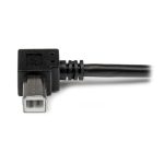 StarTech.com cable adaptador de 2 metros, con 1x USB A macho y 1x USB B macho en ángulo derecho. SKU: USBAB2MR