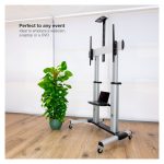 Monitor de 100 pulgadas TooQ Partenón plateado con resolución de 2.54 metros, SKU FS20300M-B