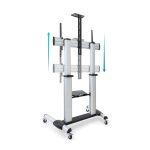 Monitor de 100 pulgadas TooQ Partenón plateado con resolución de 2.54 metros, SKU FS20300M-B