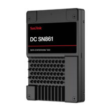 Western Digital Ultrastar DC SN861 de 1,6 TB, unidad SSD U.2 PCI Express 5.0 con tecnología NVMe y memoria TLC 3D NAND, SKU 0TS2534