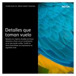 Cartucho de tóner amarillo Xerox C310/C315 con capacidad estándar de 2000 páginas, SKU 006R04359
