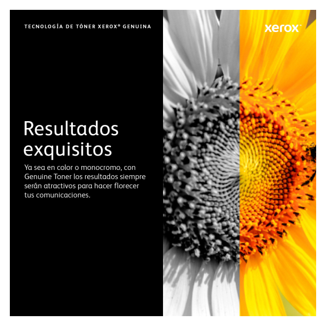 Xerox C310/C315 Cartucho de tóner negro de alta capacidad (8000 páginas) 2 Uso del Xerox C310/C315 Cartucho de tóner negro en una oficina