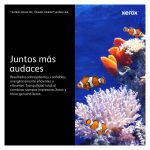 Cartucho de tóner negro de alta capacidad Xerox VersaLink modelos B600, B605, B610, B615 con rendimiento de 46700 páginas SKU 106R03944